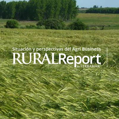 Terramar Rural Report